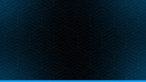 Discord Accounts